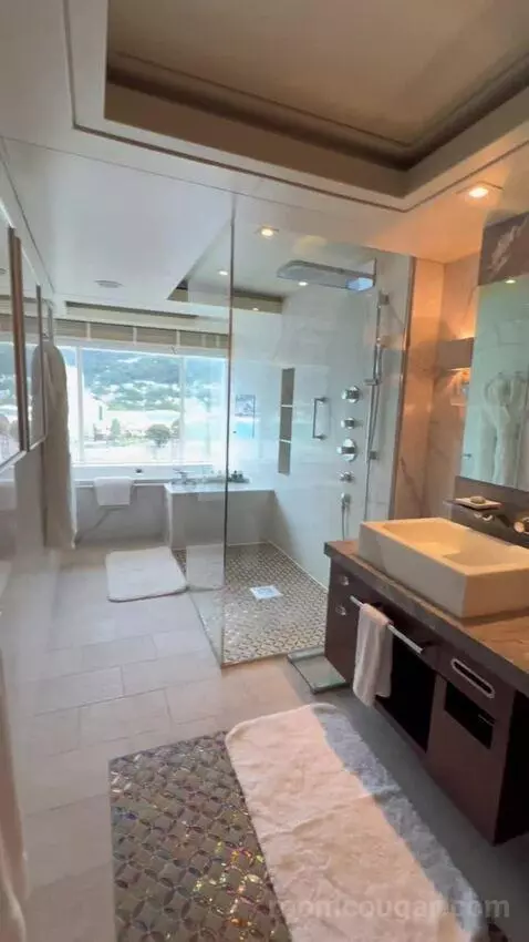 Penthouse Suite (#1022) bathroom picture #7
