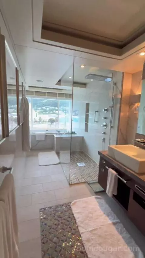 Penthouse Suite (#1022) bathroom picture #9