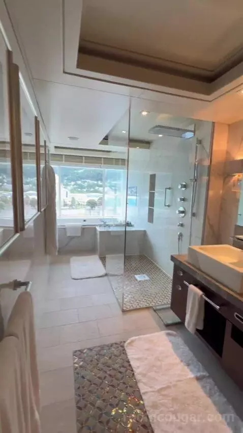 Penthouse Suite (#1022) bathroom picture #10