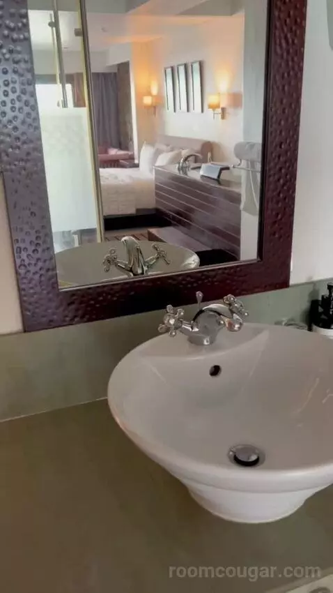 Deluxe Room (#112) bathroom picture #8