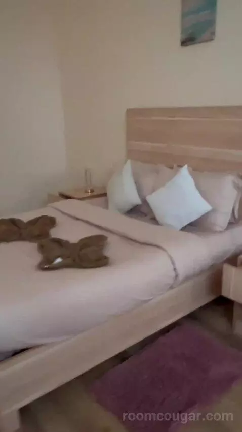 Two Bedroom Apartment (#1) bed picture #5