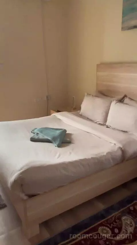 Two Bedroom Apartment (#1) bed picture #10