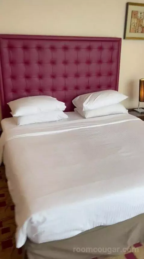 Executive Suite (#103) bed picture #6