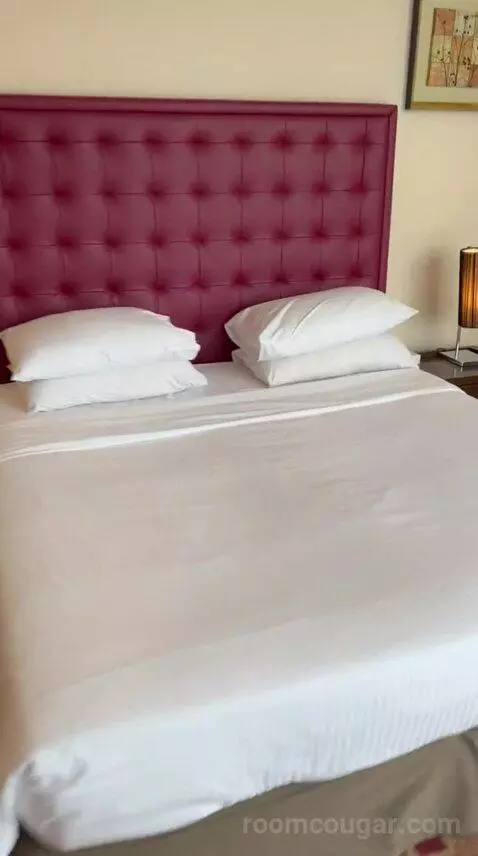 Executive Suite (#103) bed picture #7