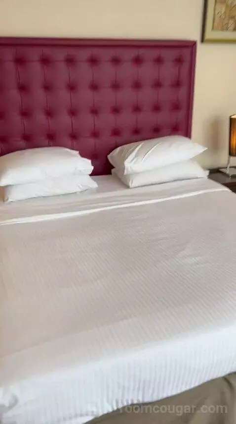 Executive Suite (#103) bed picture #8