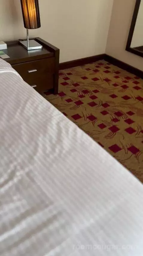 Executive Suite (#103) bed picture #11