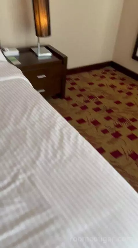 Executive Suite (#103) bed picture #12