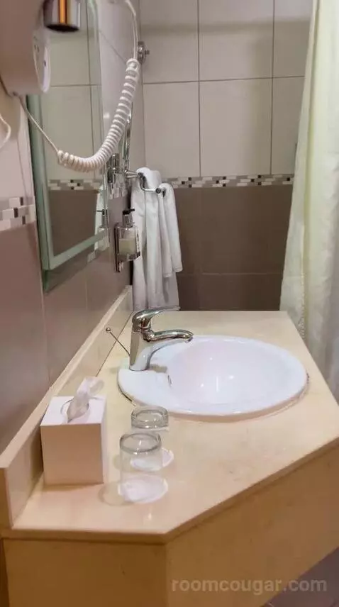 Executive Suite (#103) bathroom picture #1