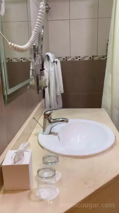 Executive Suite (#103) bathroom picture #4