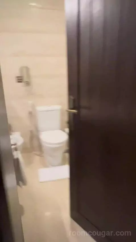Standard (#101) bathroom picture #1