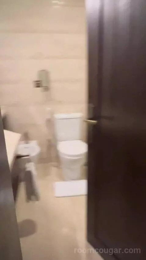 Standard (#101) bathroom picture #2