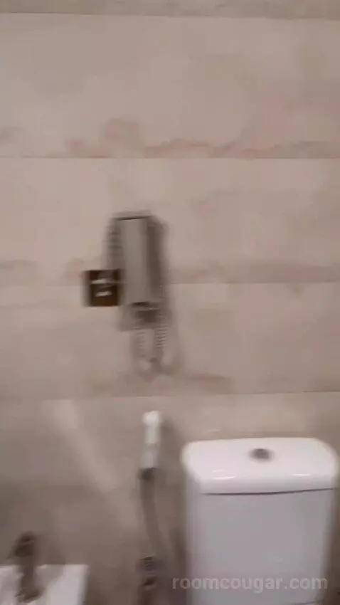Standard (#101) bathroom picture #10