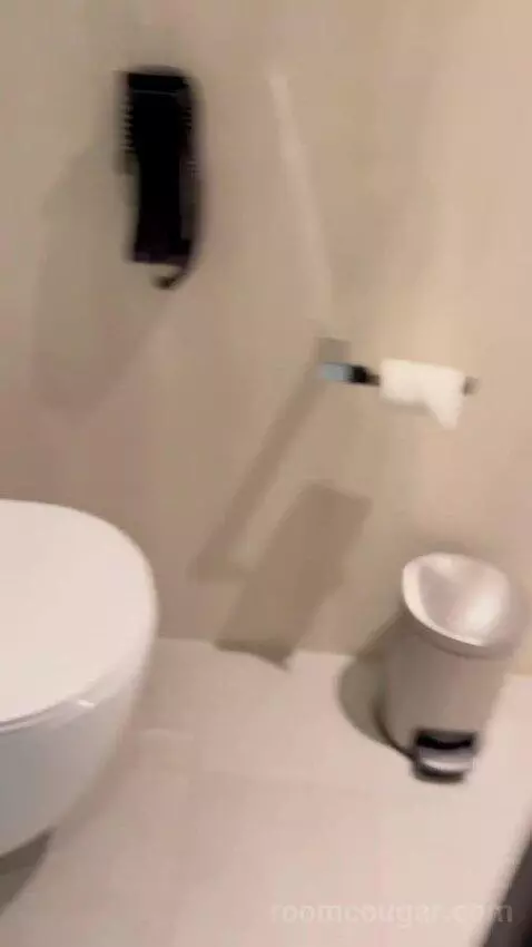 Aloft King Room (#529) bathroom picture #7