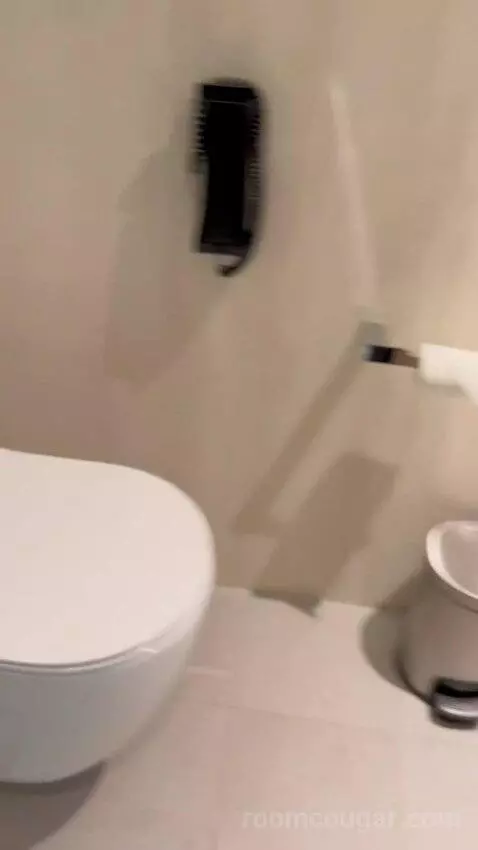 Aloft King Room (#529) bathroom picture #8