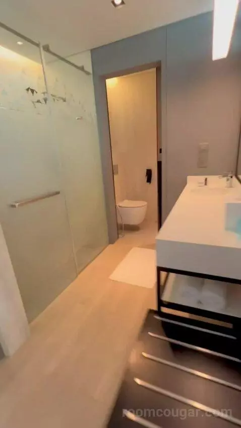 Deluxe King Room (#821) bathroom picture #2