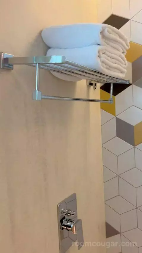 Deluxe King Room (#821) bathroom picture #8