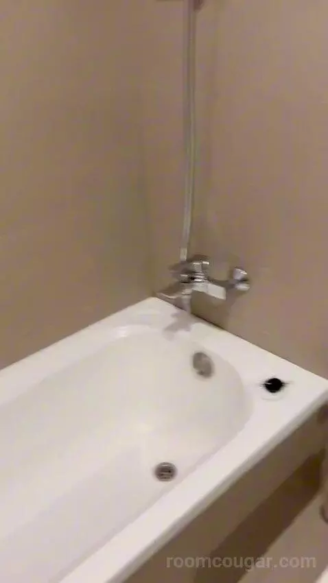 Standard Single Room (#325) bathroom picture #11