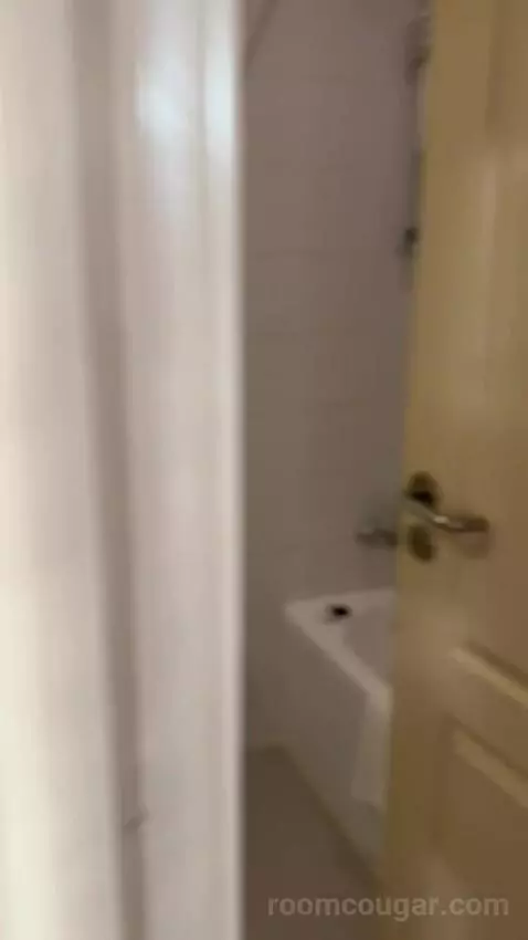 Standard Double Room (#501) bathroom picture #2