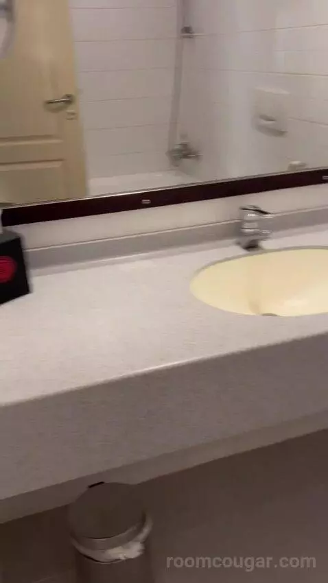 Standard Double Room (#501) bathroom picture #3