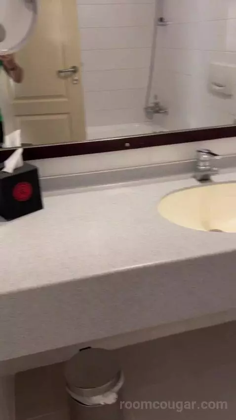Standard Double Room (#501) bathroom picture #4