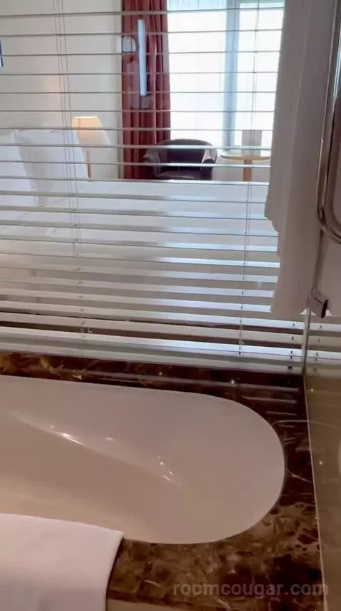 Standard Room Sea View (#346) bathroom picture #8