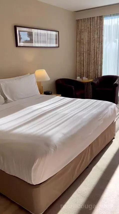 Family Room w/ Patio (#040) bed picture #4