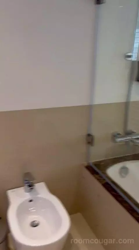 Family Room w/ Patio (#040) bathroom picture #2