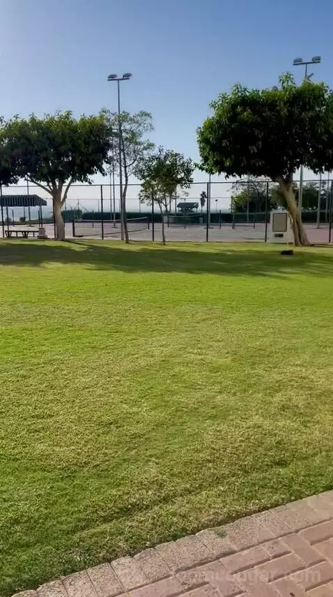 Family Room w/ Patio (#040) view picture #12