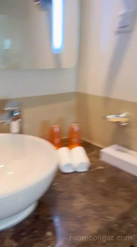 Family Room w/ Patio (#040) bathroom picture #8