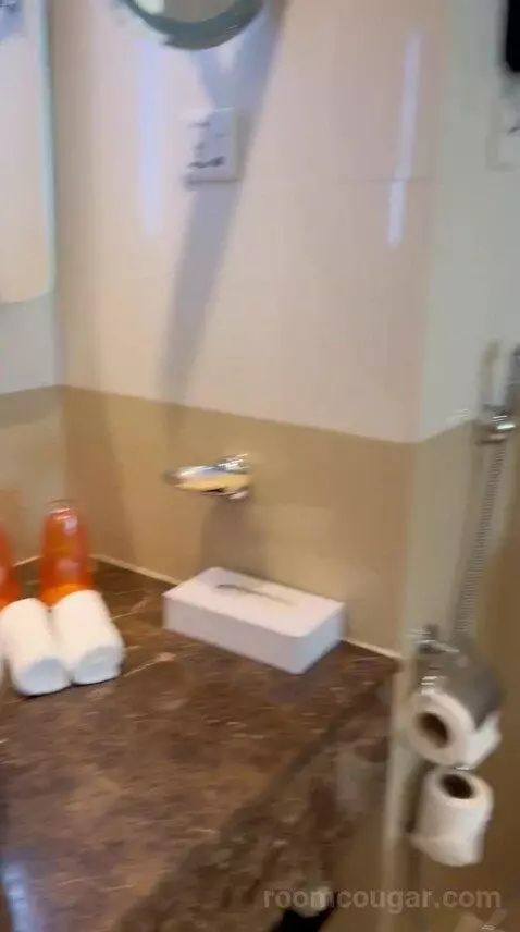 Family Room w/ Patio (#040) bathroom picture #9