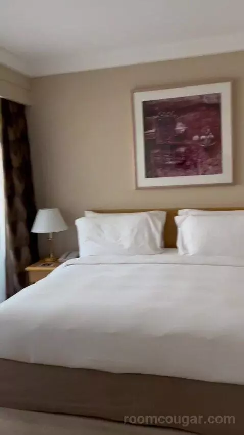 Executive Suite (#601) bed picture #6