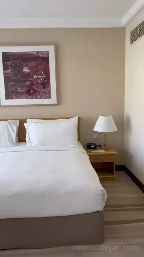 Executive Suite (#601) bed picture #7