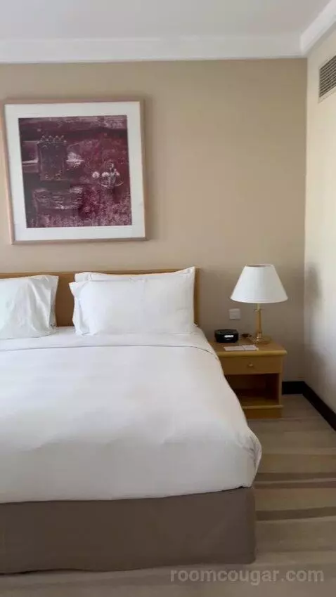 Executive Suite (#601) bed picture #8