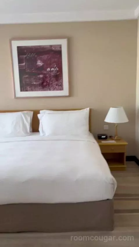 Executive Suite (#601) bed picture #9