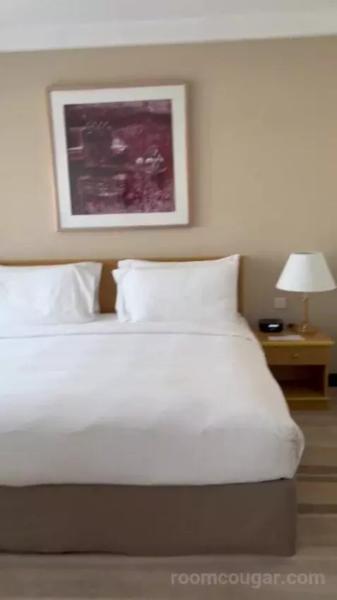 Executive Suite (#601) bed picture #10