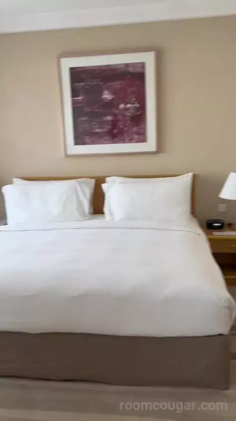 Executive Suite (#601) bed picture #11