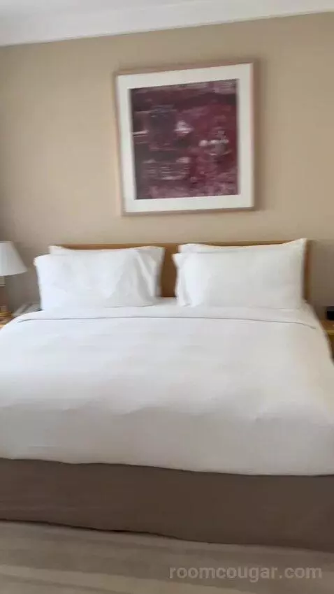 Executive Suite (#601) bed picture #12