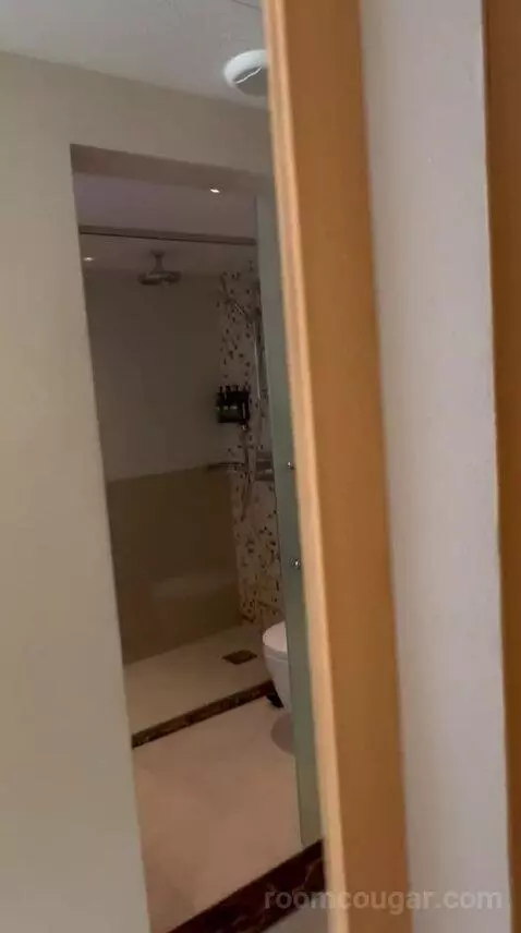 Queen Room (#411) bathroom picture #4