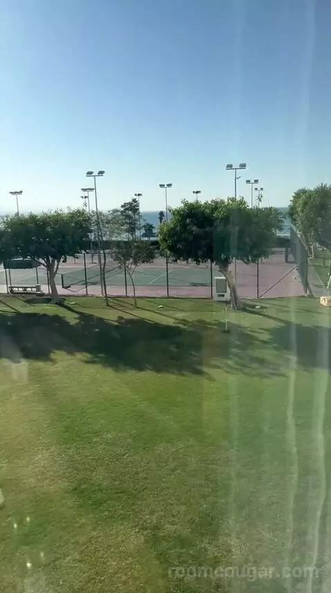 Family Room (#140) view picture #5