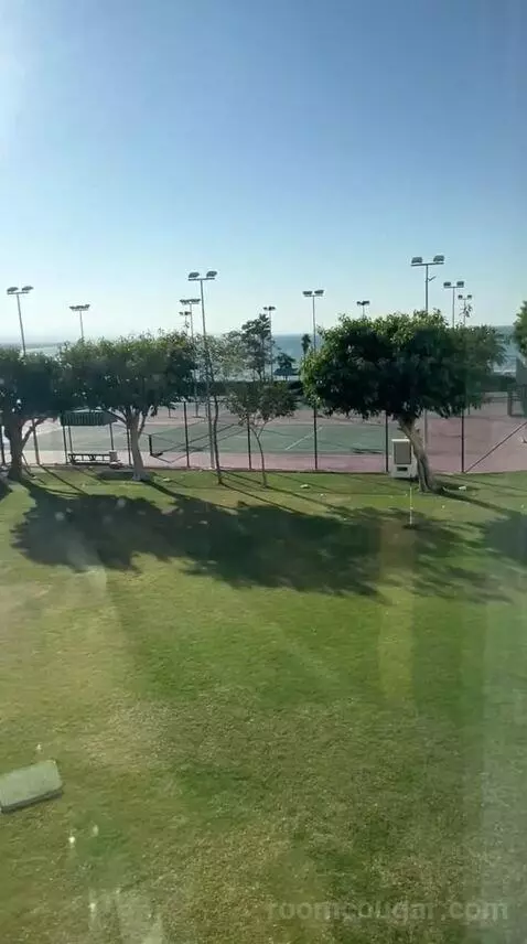 Family Room (#140) view picture #6