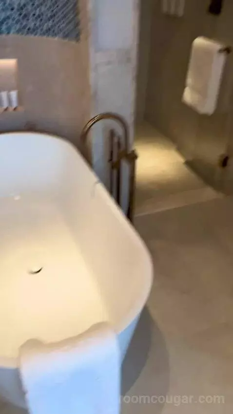 Sea View Suite (#219) bathroom picture #11