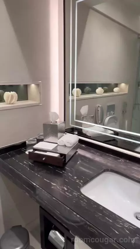 Premium Room City View (#446) bathroom picture #4