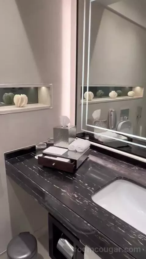 Premium Room City View (#446) bathroom picture #5