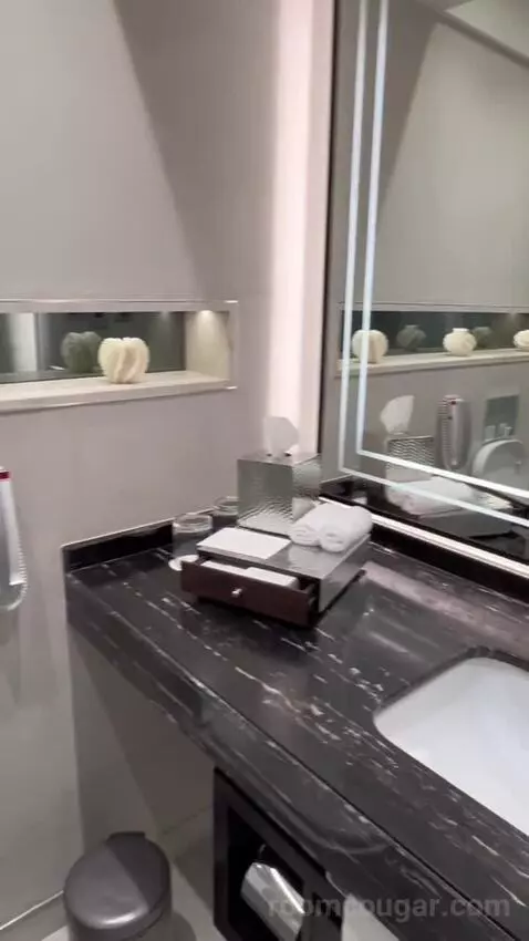 Premium Room City View (#446) bathroom picture #6