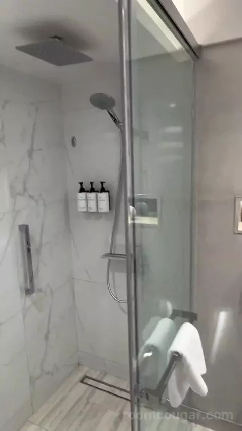 Premium Room City View (#446) bathroom picture #9