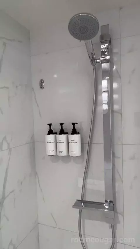 Premium Room City View (#446) bathroom picture #11