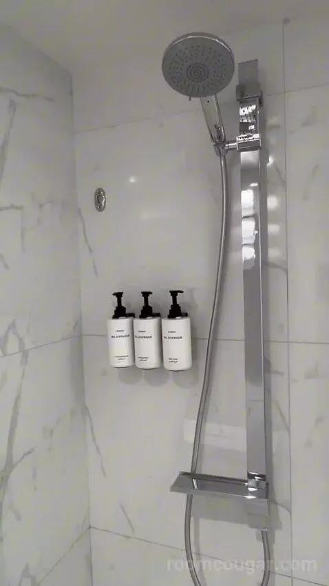 Premium Room City View (#446) bathroom picture #12