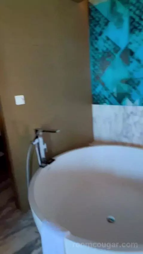 Fantastic Suite (#318) bathroom picture #10