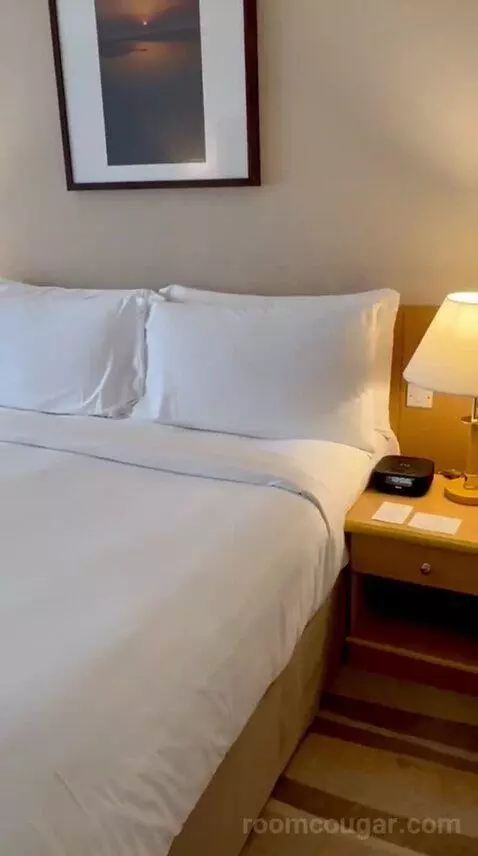 Standard Room (#132) bed picture #3