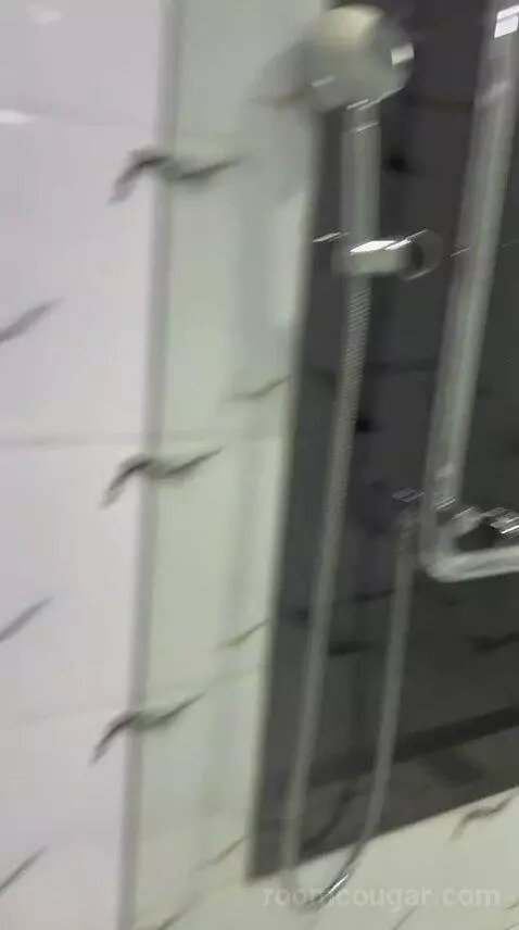 Standard Queen Room (#2007) bathroom picture #10